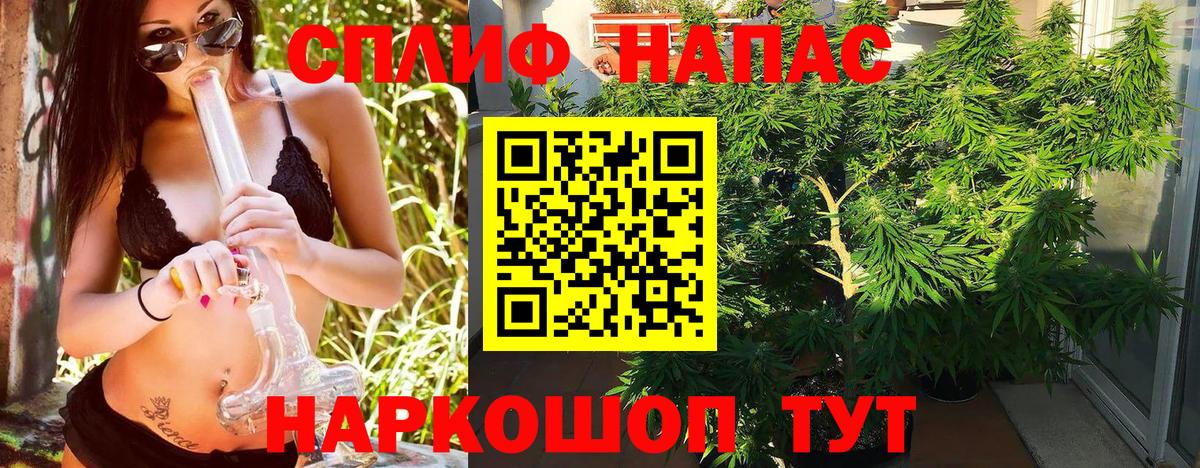 Марихуана конопля Великий Устюг